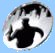 absobullmastiffs's Avatar