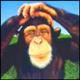 chimpwithalimp's Avatar