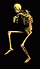 dermot tightass's Avatar