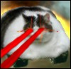 garlogan's Avatar