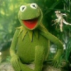 kermitfrog's Avatar
