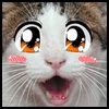 NekoGráfico's Avatar
