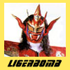 Ligerbomb's Avatar