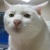 JamesFanscape's Avatar