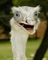 WiseOL's Avatar