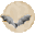 moonrise's Avatar