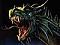 bahamut50's Avatar