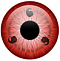 Kingacefire's Avatar
