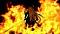 vincesecuricor2005's Avatar